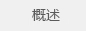概述